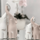 Coppia elefanti intrecciati portafortuna - Soffio Jewels