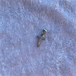 Lettera zirconata - Soffio Jewels